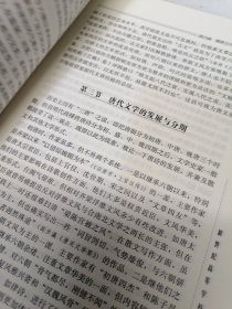 中国古代文学史（中卷）