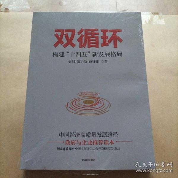 双循环构建十四五新发展格局双循环与我们的关系樊纲作品国家高端智库出品政府和企业推荐读本