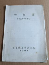 1954年中华针灸学社《神经图》