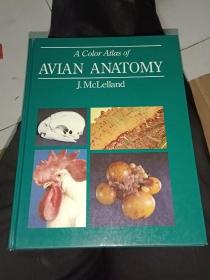 AVIAN ANATOMY鸟类解剖学