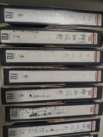 （暂）录像带，神州风采，（1990年左右）9盒