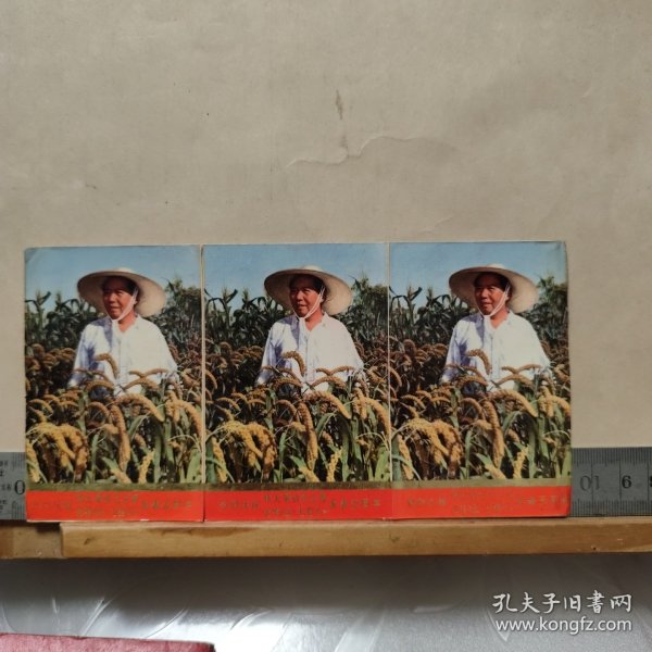 热烈庆祝伟大领袖毛主席光辉《 五.七指示》 发表五周年画片