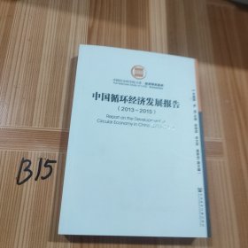 中国循环经济发展报告