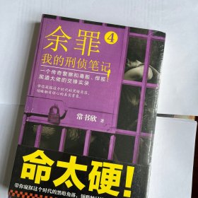 余罪4：我的刑侦笔记