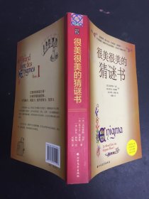 很美很美的猜谜书(升级版)：巴黎彩绘解谜手册！激发孩子数学兴趣入门书！172道谜题+200幅中世纪风格插画，精雕细琢的图腾，全书充满故事性与神秘感