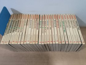 佛教小百科（全32卷 缺7、9、12 29）28册合售）实物拍图 有水渍