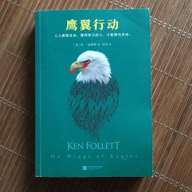 鹰翼行动