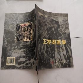 中国当代著名画家 王梦湖画集 【2002年一版一印】 货号X6..