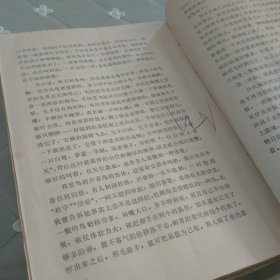 中国现代散文精华