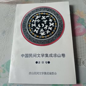 中国民间文学集成凉山卷（谚语卷）——5号箱