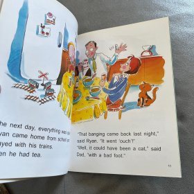 What’s that noise培生幼儿英语 提高级（ 含24册图书，3张英式发音CD）