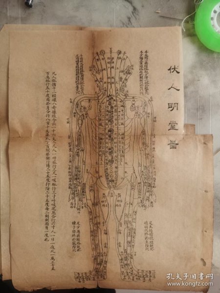 针灸图四张。