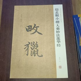 中国历代名碑名帖精选系列：赵孟頫小楷大乘妙法莲华经