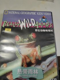 热带雨林VCD