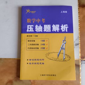 数学中考压轴题解析：上海版