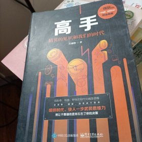 高手：精英的见识和我们的时代