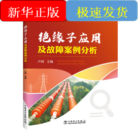 绝缘子应用及故障案例分析