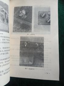 北京BJ212轻型越野汽车使用和保养说明书
——1978年北京汽车制造厂  编印
