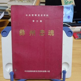 中共楚雄党史资料：《彝州忠魂》第三集【品如图，所有图片都是实物拍摄】