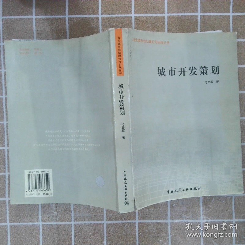 城市开发策划 马文军 9787112066650 中国建筑工业出版社