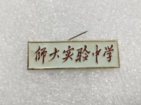 师大实验中学校徽 老校徽