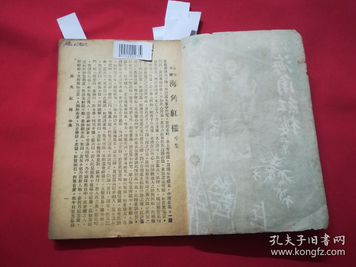 言情小说：海角红楼（二集）