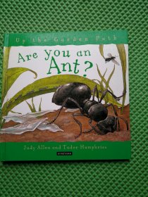 Are You an Ant?英文原版 你是蚂蚁吗?