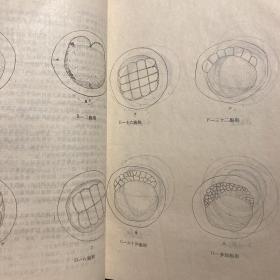 《泥鳅、黄鳝乌龟、鳖繁殖及养殖技术》1989年印湖北省职业高中教材；几种名优特水产养殖方法推广交流会专题讲座油印74页