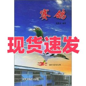赛鸽