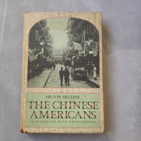 THE CHINESE AMERICANS 华裔美国人