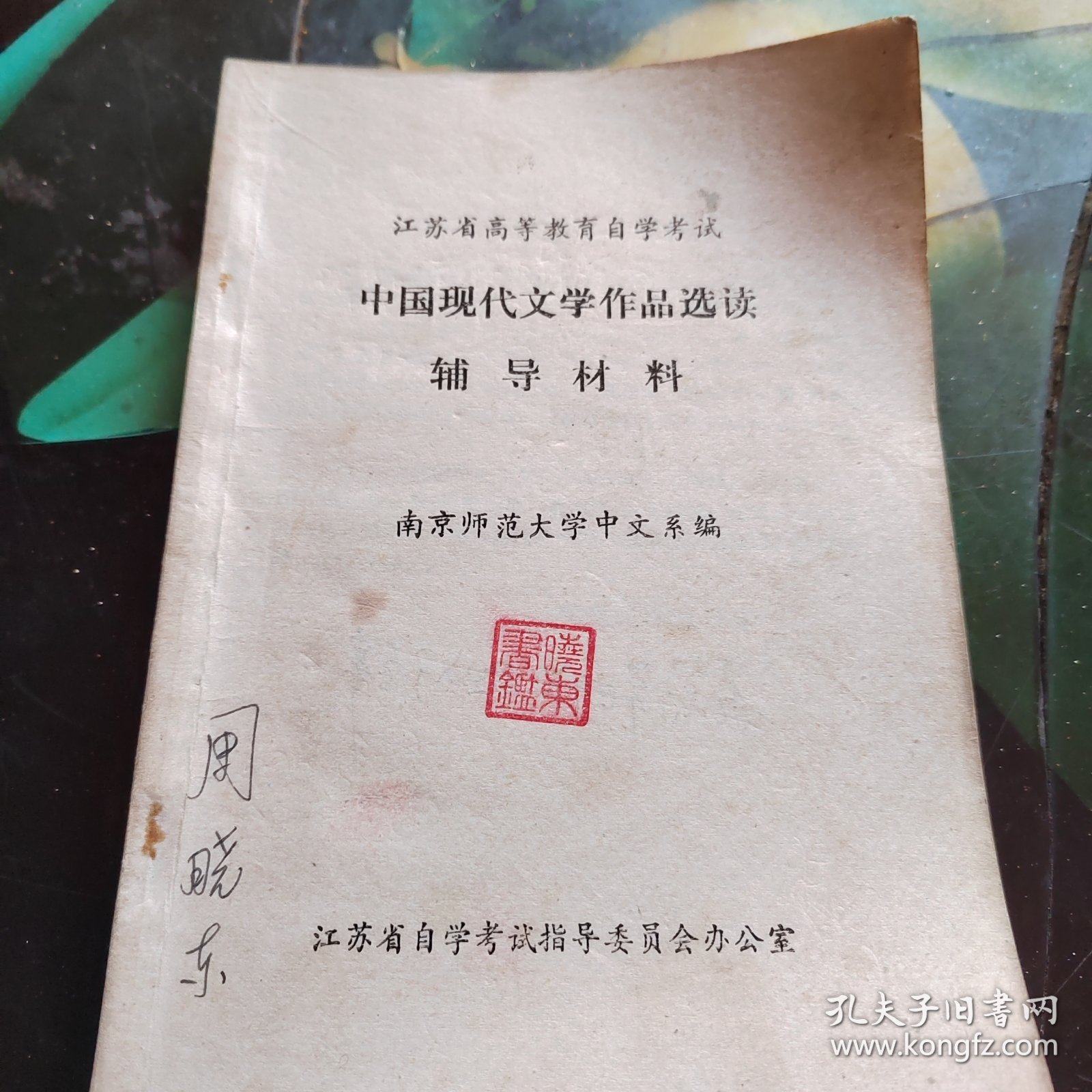 中国现代文学作品选读辅导材料