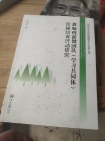 教师创新微团队（学习共同体）阶梯培育行动研究/深圳大学师范学院学术创新文库