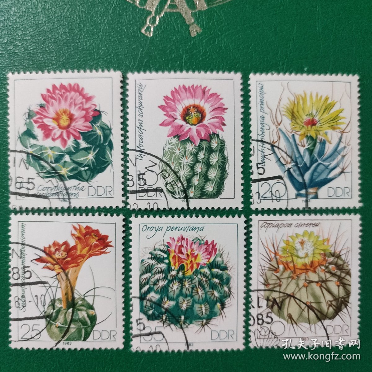 德国邮票 东德 1983年仙人掌 6全销