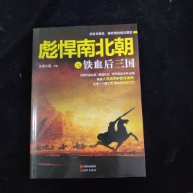 彪悍南北朝之铁血后三国