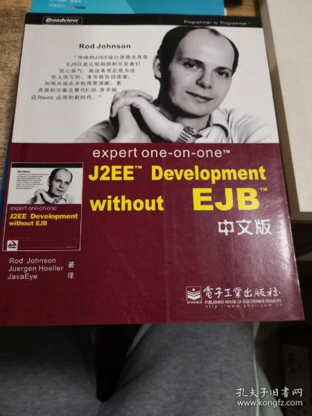 expert one-on-one J2EE Development without EJB 中文版