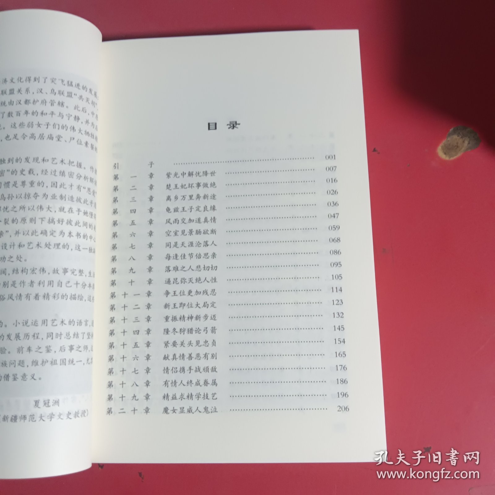 历史小说《乌孙女杰》这是一部表现汉武帝以“和亲”政策联乌孙匈奴的战略目标，先后派遣细君公主解忧公主远赴西域的可歌可注故事