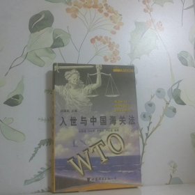 入世與知識產(chǎn)權(quán)保護(hù)