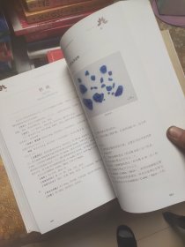 四川省中药材标准 2010年版 精装