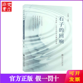 石子的回响
