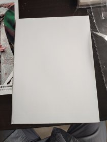 老照片新华社发行新闻照片 四川汶川地震题材 四川什邡市蓥华镇救灾现场河南消防,赴四川抗震救灾突击队。北川县民政局局长王洪发在救灾现场,张晓理王金涛拍摄