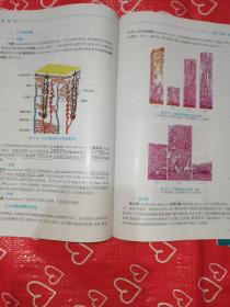 组织学与胚胎学(第3版/本科中医药类/配增值)