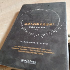 法律人的明天会怎样？法律职业的未来（第二版）