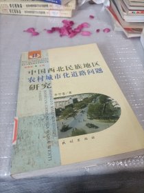 中国西北民族地区农村城市化道路问题研究