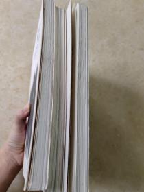 设计+生活国际平面设计师丛书三本合售：府烈茶、王翰尼、蒙古齐
