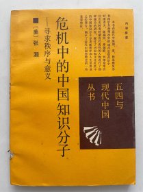 危机中的中国知识分子：寻求秩序与意义