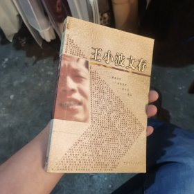 王小波文存