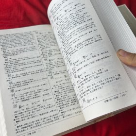 汉语大字典:简编本（1）