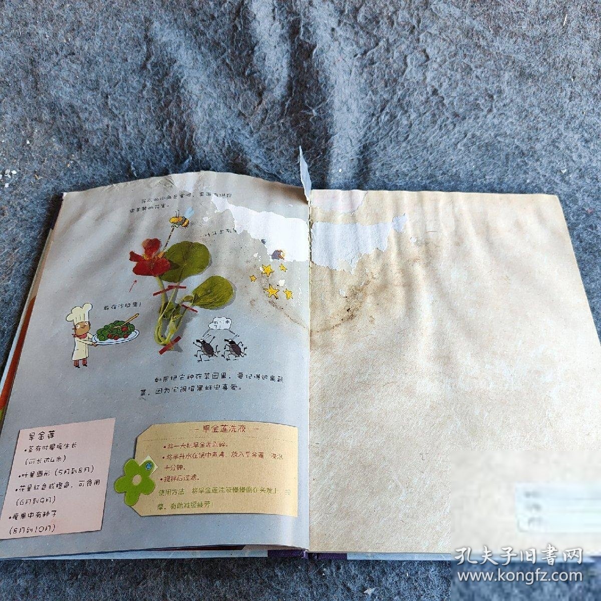 【正版二手】灰姑娘的花草标本集