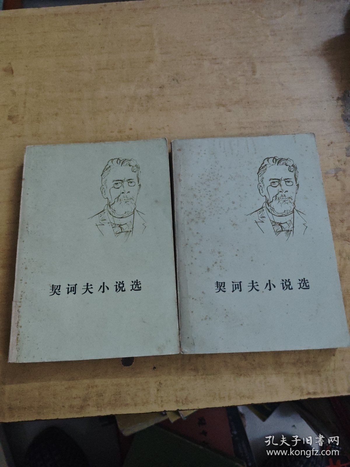 契河夫小说选 上下