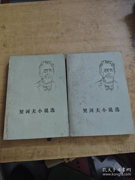 契河夫小说选 上下